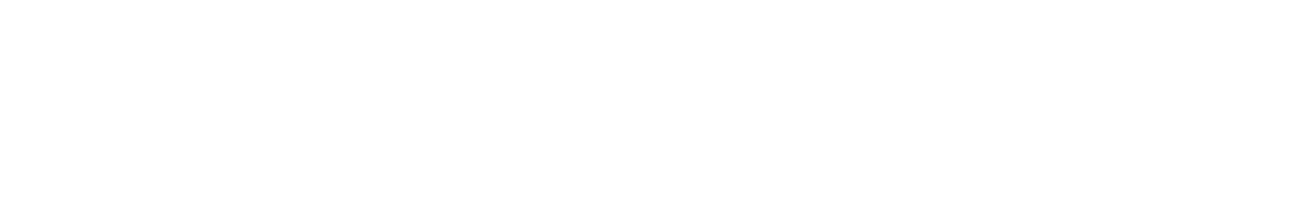 Doruk Reception VIP Transfers Logo